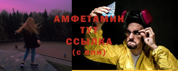 индика Ладушкин