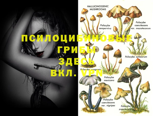 кокаин премиум Лагань
