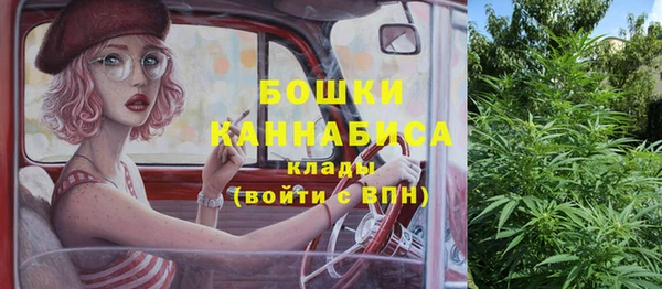 тгк Лиски