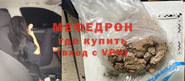 индика Ладушкин