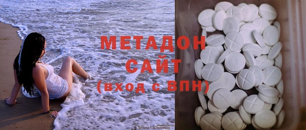 индика Ладушкин