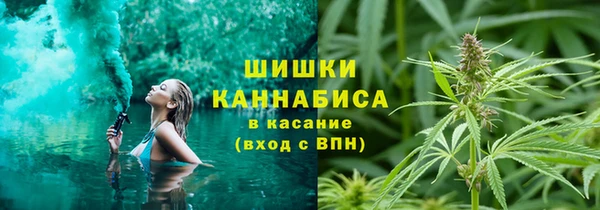 индика Ладушкин