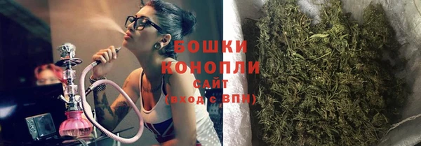 индика Ладушкин